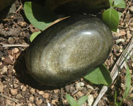 ~ Gold Sheen Obsidian ~ 