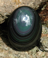 Rainbow Obsidion